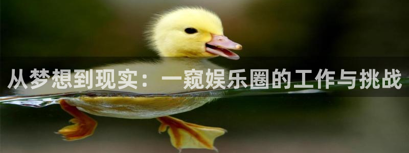 杏鑫娱乐：从梦想到现实：一窥娱乐圈的工作与挑战