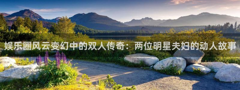 杏鑫娱乐：娱乐圈风云变幻中的双人传奇：两位明星夫妇的动人故事