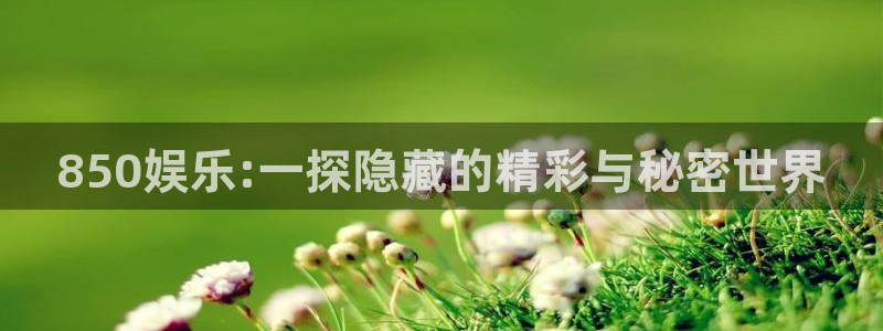杏鑫娱乐：850娱乐:一探隐藏的精彩与秘密世界
