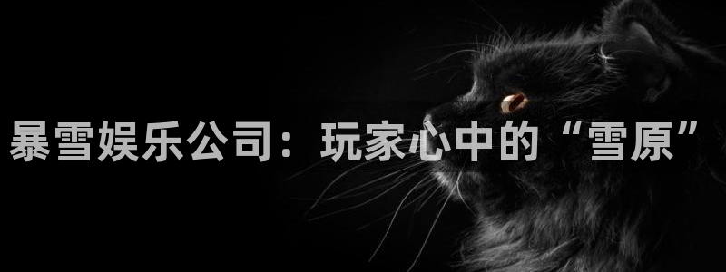 杏鑫娱乐：暴雪娱乐公司：玩家心中的“雪原”
