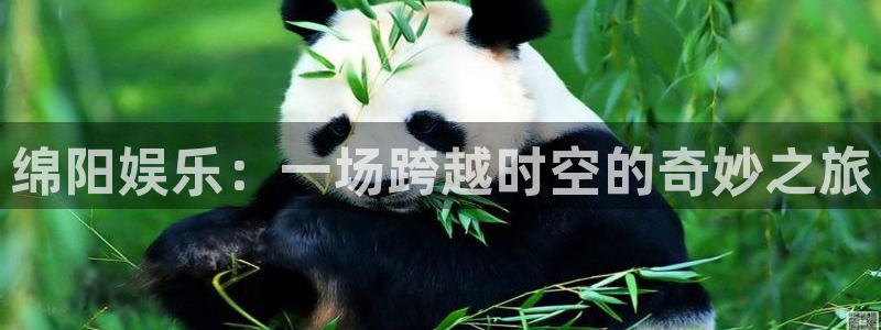 杏鑫娱乐：绵阳娱乐：一场跨越时空的奇妙之旅