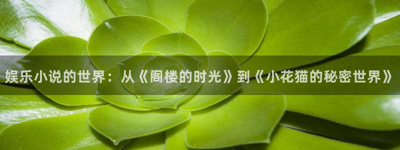 杏鑫娱乐：娱乐小说的世界：从《阁楼的时光》到《小花猫的秘密世界》